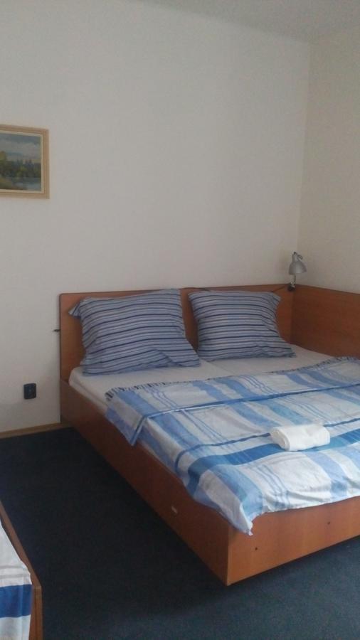 Hotel Britz Velké Hamry Exteriör bild